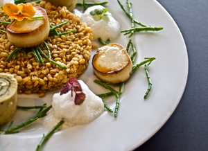 iode-plat-gastronomique-vegan-gentle-gourmet-vegan